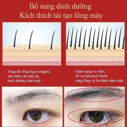 Eyebrow & Eyelash Growth Serum ✨